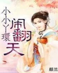 小小丫環閙繙天小說封面
